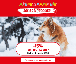 Bon plan 15% de remise sur tout le site et tout le magasin